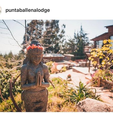 Punta Ballena Lodge Pichilemu Εξωτερικό φωτογραφία