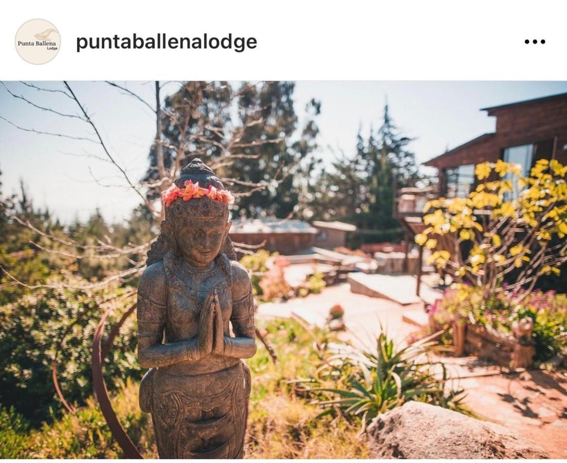 Punta Ballena Lodge Pichilemu Εξωτερικό φωτογραφία