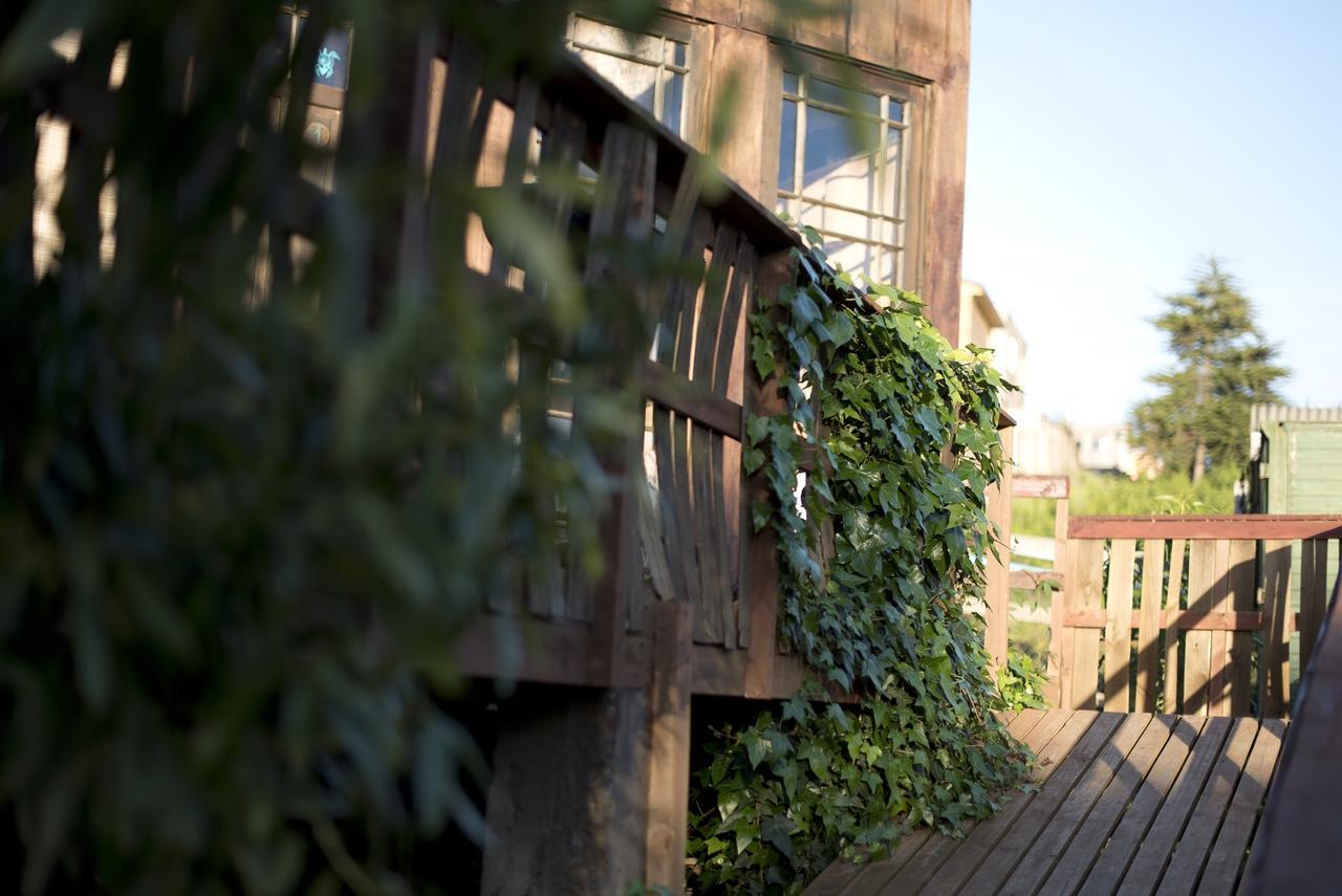 Punta Ballena Lodge Pichilemu Εξωτερικό φωτογραφία