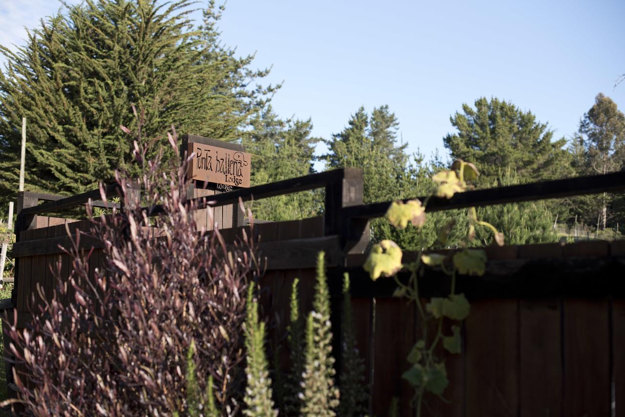 Punta Ballena Lodge Pichilemu Εξωτερικό φωτογραφία